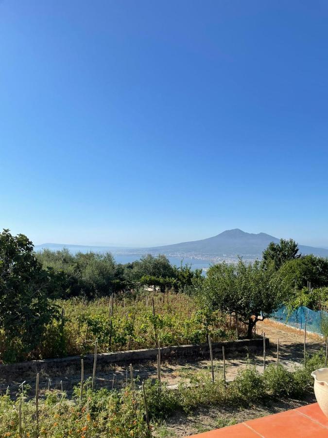 Palipano House Villa Pimonte Luaran gambar