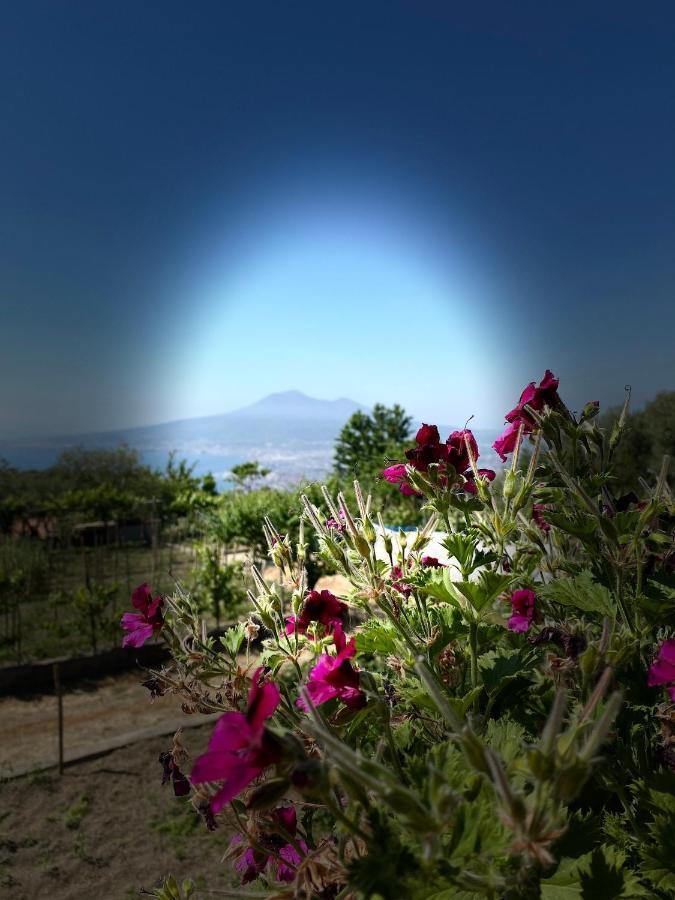 Palipano House Villa Pimonte Luaran gambar